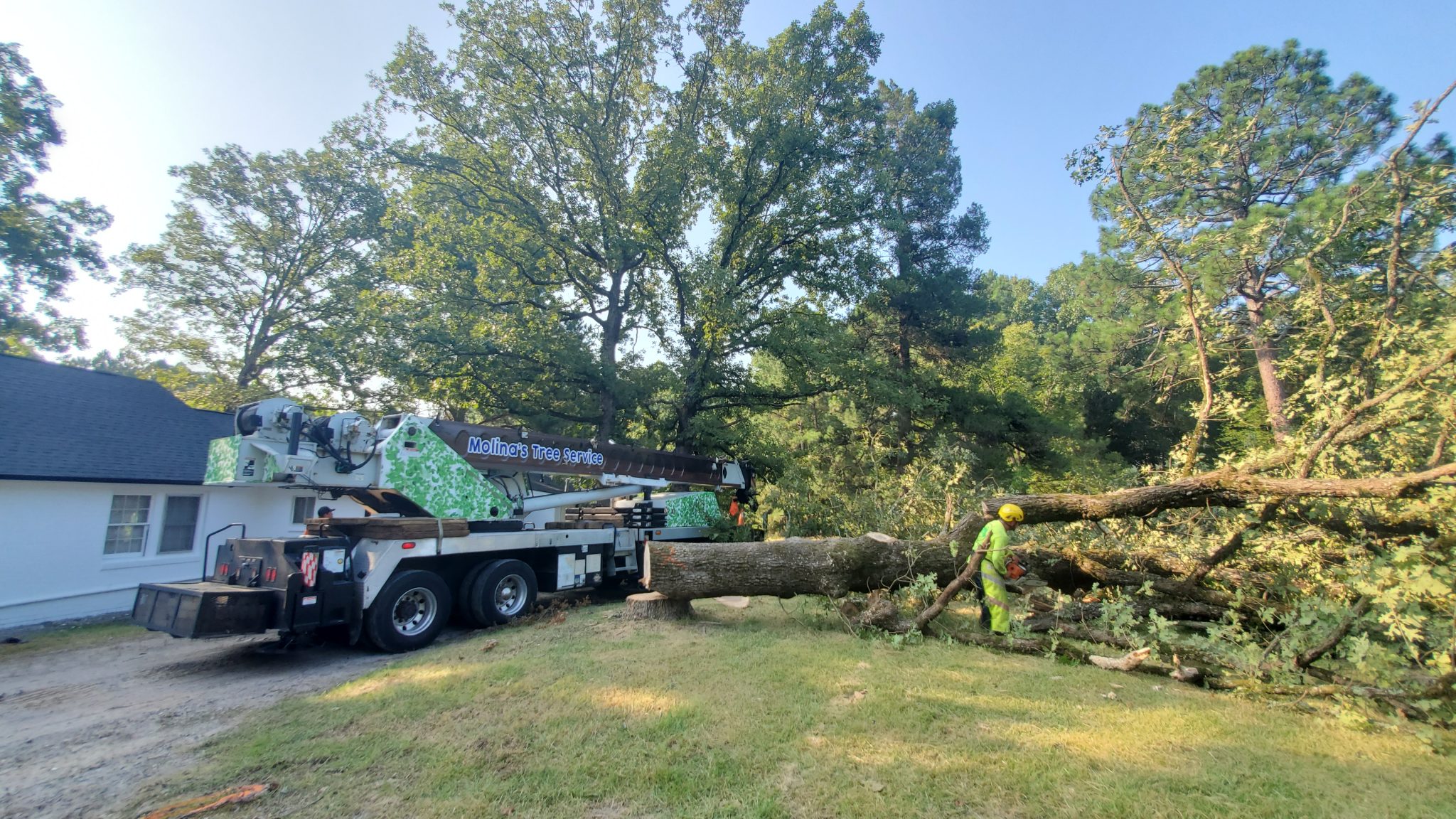 Clayton NC Tree Care Company Tree Service Clayton