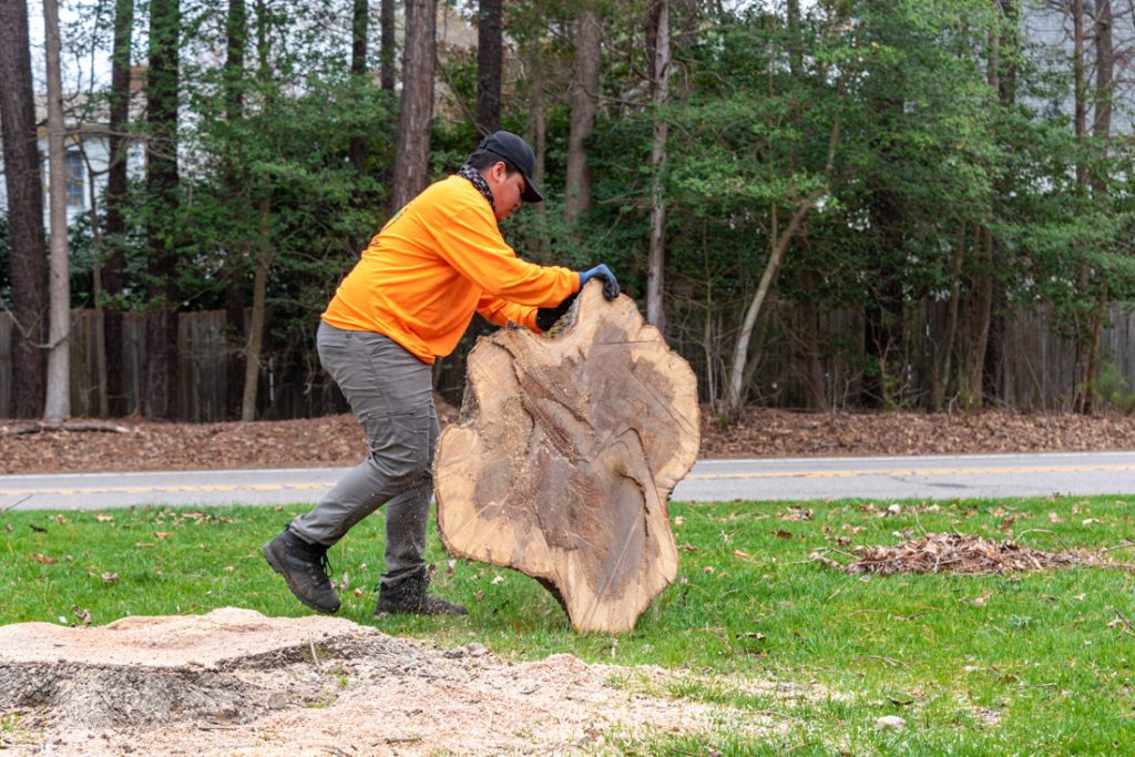 tree-care-company-provides-financing-for-land-clearing-tree-service